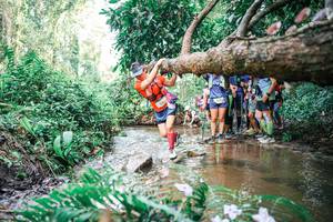 BIB: 
                            <button type="button" onclick="openModal(25514319)" class="btn btn-primary btn-sm float-right btn-popup" data-toggle="modal" data-target=".modal-high-quality">
                        <i class="fas fa-shopping-cart"></i> Add to Cart
                    </button>
                                            <button type="button" onclick="isThisMe(25514319, true)" class="btn btn-success btn-sm float-right btn-popup btn-isme hidden" data-toggle="tooltip" data-placement="bottom" title="นี่คือรูปของคุณใช่ไหม คลิกที่นี่เพื่อเอาเข้าอัลบั้ม">
                        <i class="fas fa-plus"></i> Add to album
                    </button>
                    <button type="button" onclick="isThisMe(25514319, false)" class="btn btn-warning btn-sm float-right btn-popup btn-isnotme hidden">
                        <i class="fas fa-ban"></i> Remove from album
                    </button>